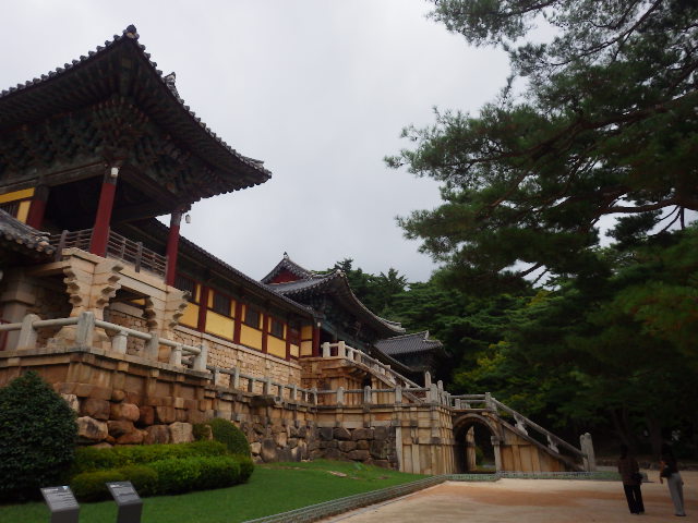 IMGP8742