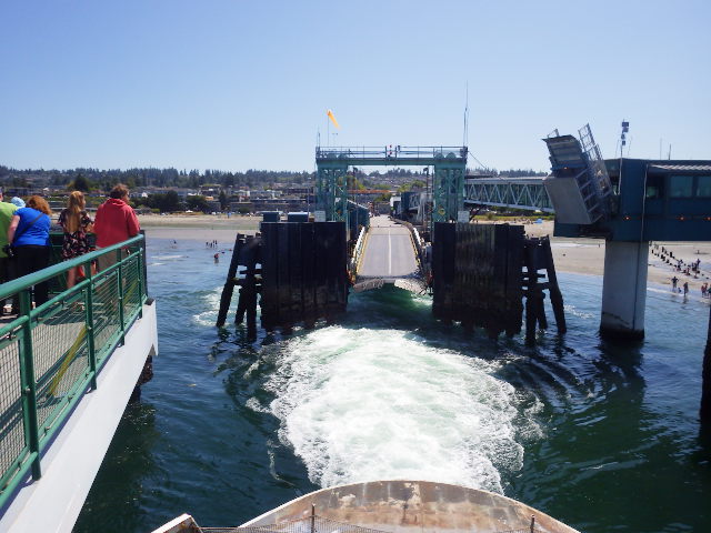 IMGP1229