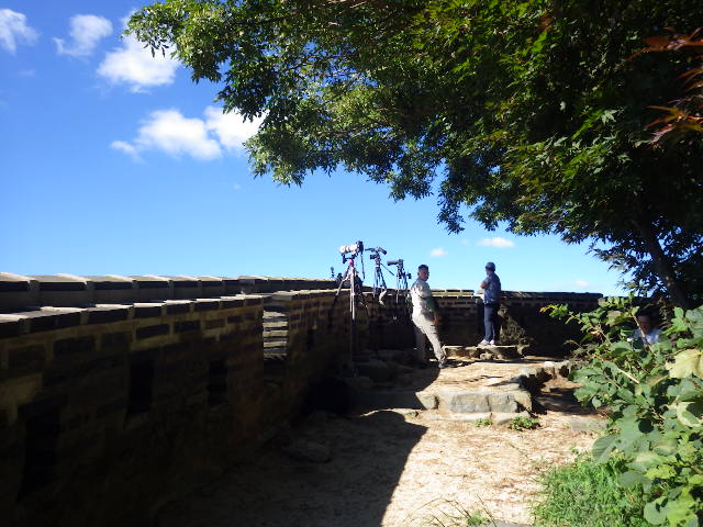 IMGP8819