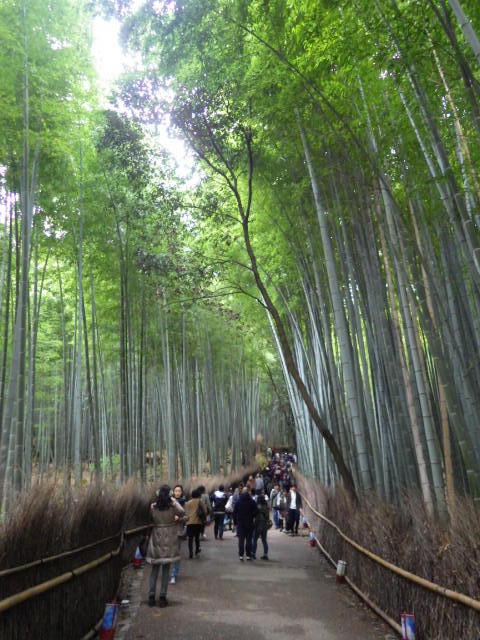 imgp9348_2