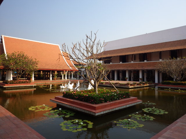 IMGP6135