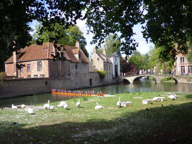 IMGP2279
