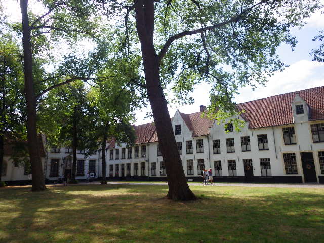 IMGP2234