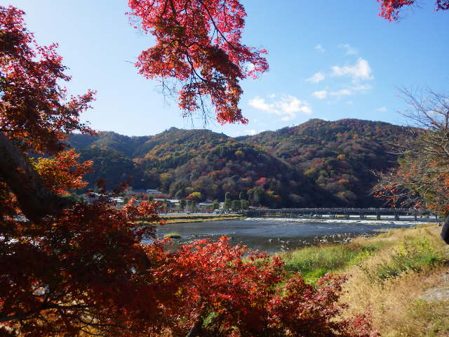 IMGP7329