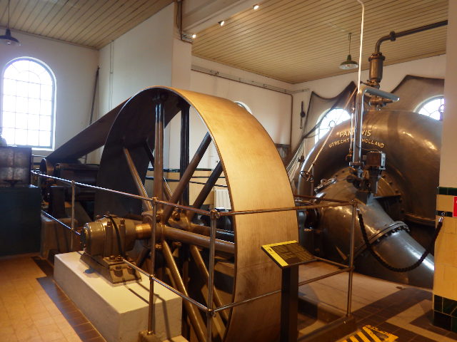 IMGP3116