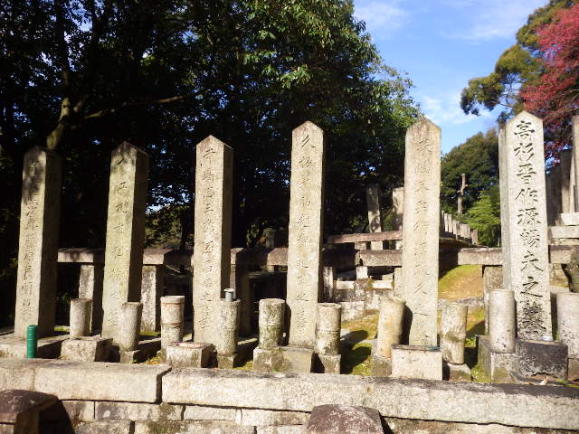 IMGP6864