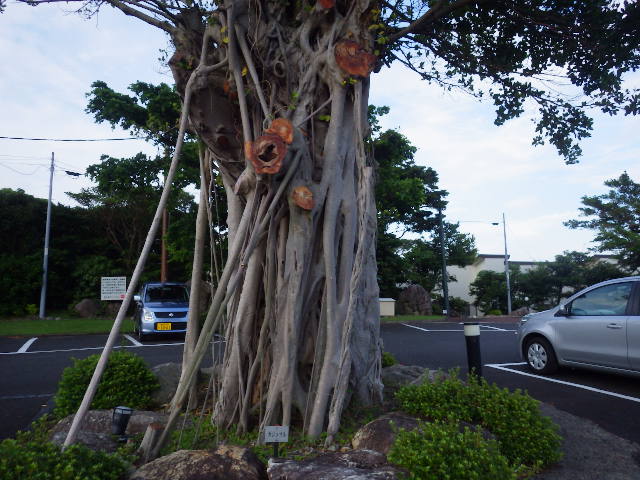 imgp2880