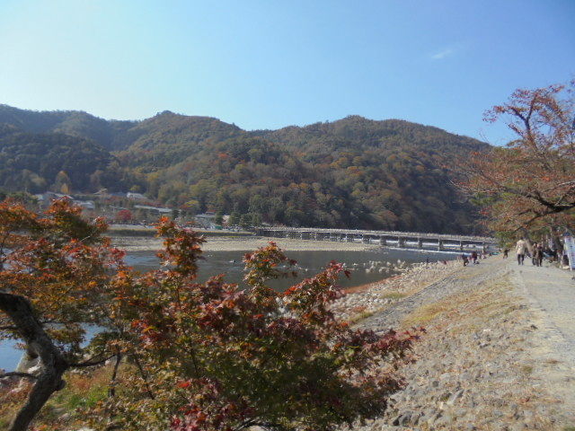 DSC02468