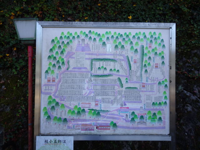 IMGP6834