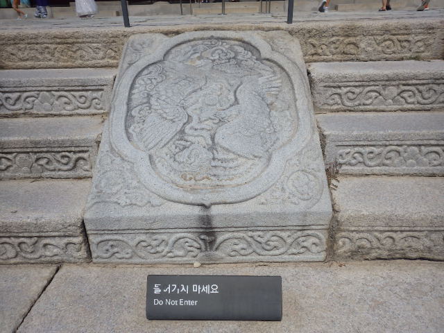 IMGP9281