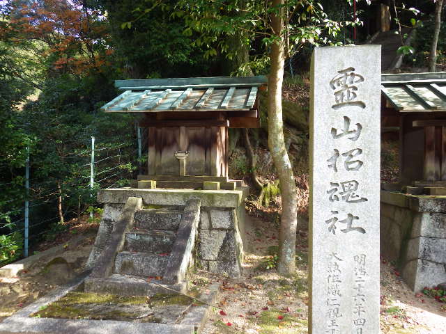 IMGP6865