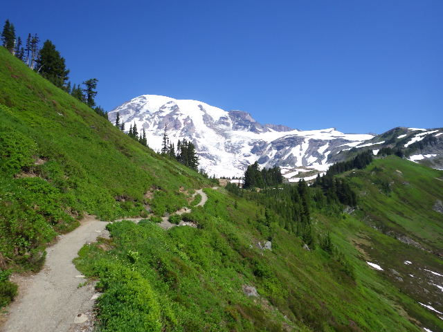 IMGP1442