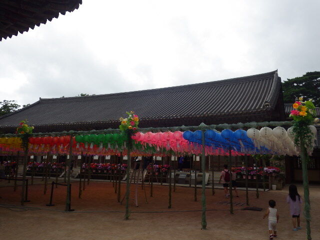 IMGP8707