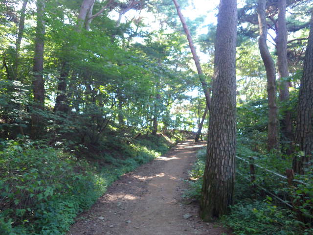 IMGP8795
