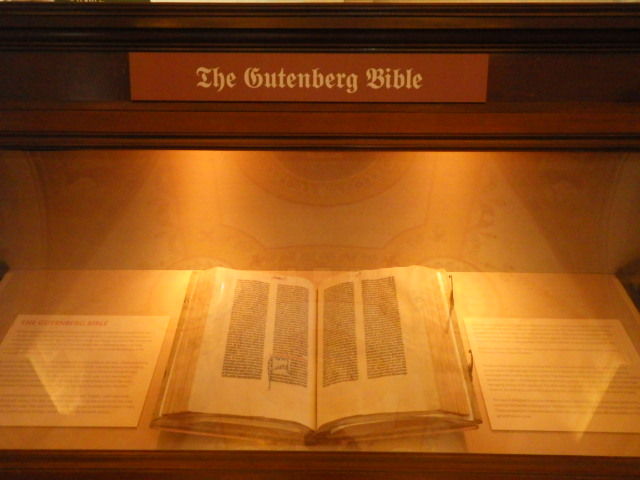 IMGP7636