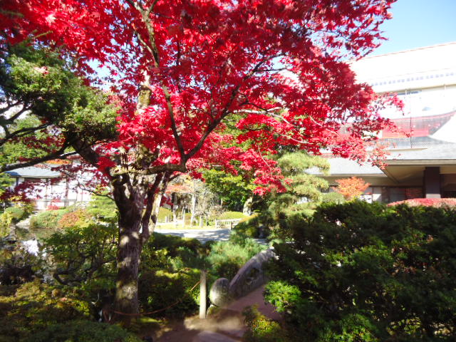 dsc00106_2