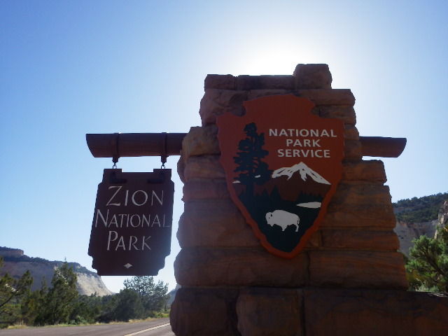IMGP6236