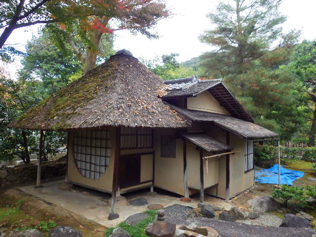 IMGP6875