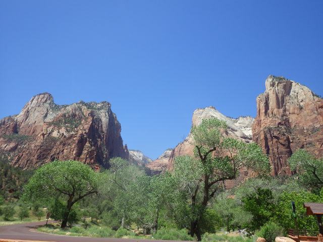 IMGP6157