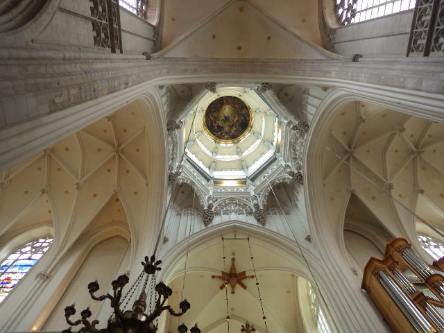 IMGP2461