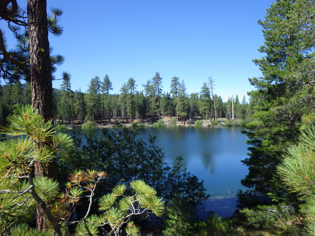 IMGP1922