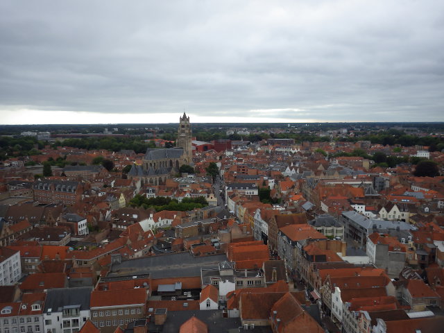 IMGP2344
