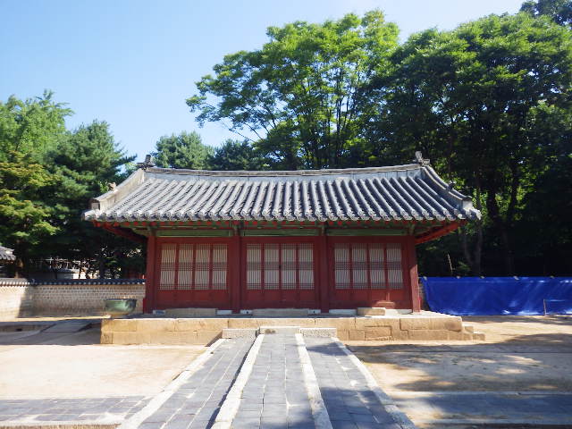 IMGP9133