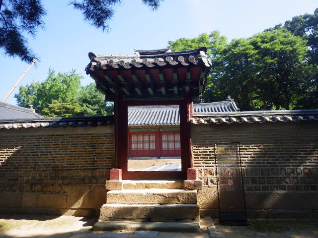 IMGP9132