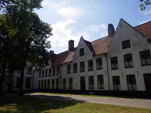 IMGP2223
