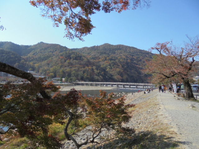 DSC02473