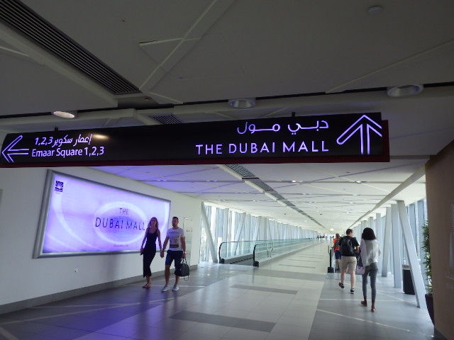 IMGP4270