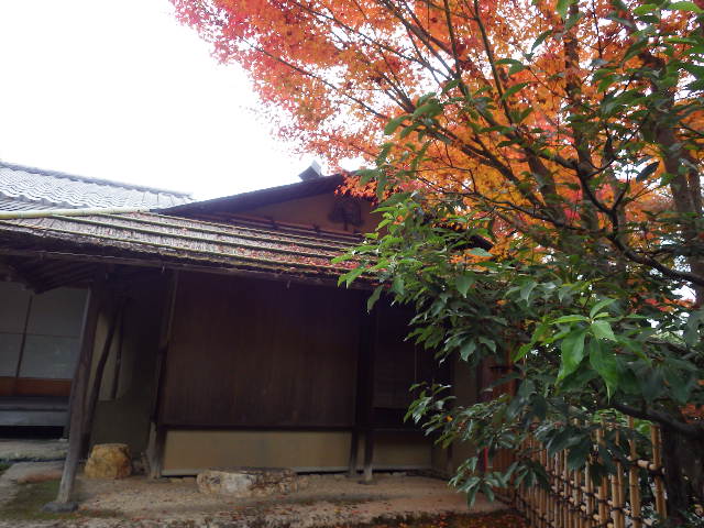 IMGP6893