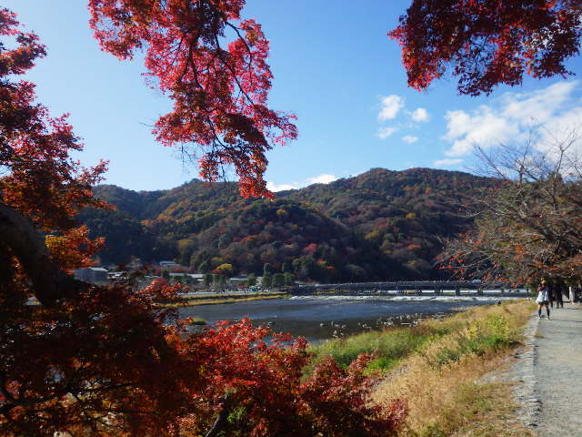IMGP7322