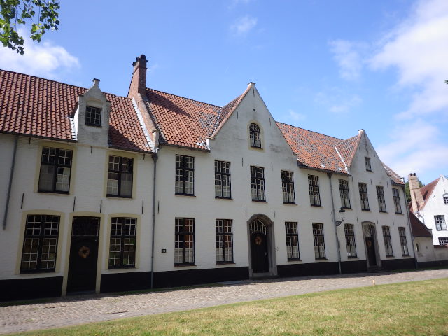 IMGP2224