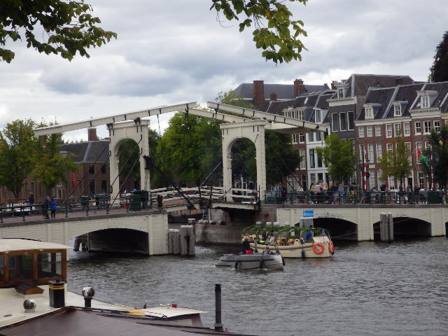 IMGP3578