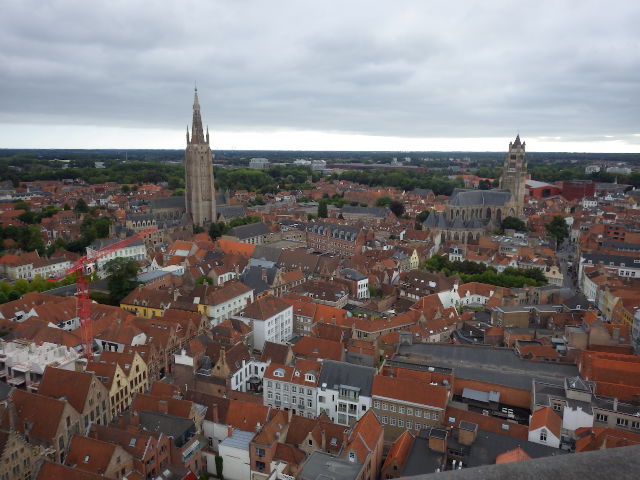 IMGP2360
