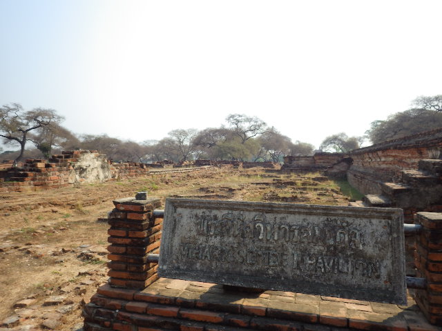 IMGP6336