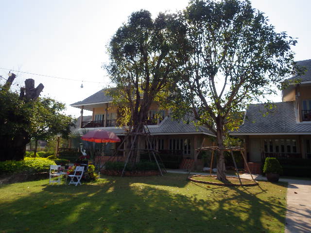 IMGP5894