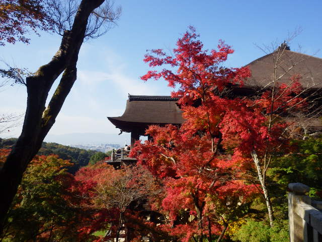 IMGP6763