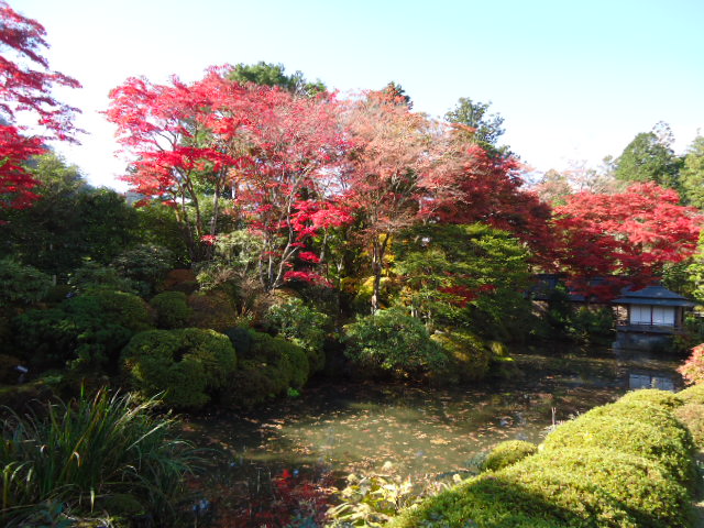 dsc00112