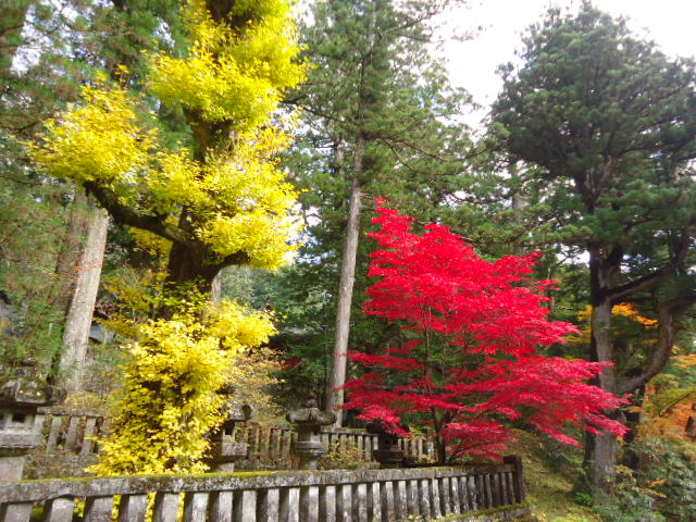 dsc00250