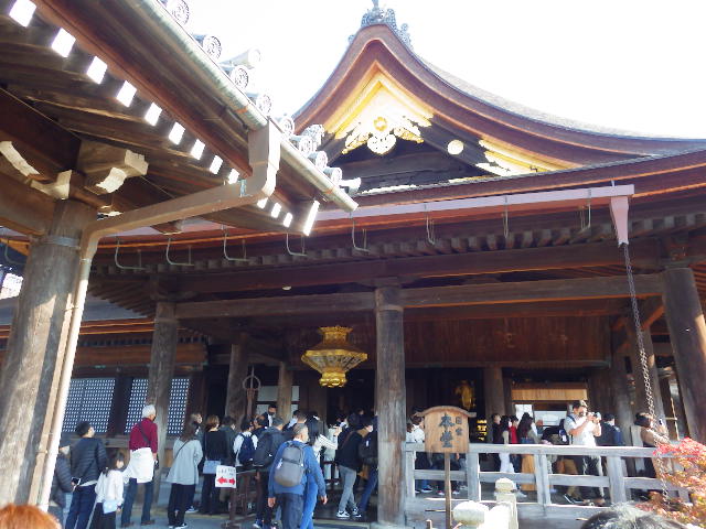 IMGP6736