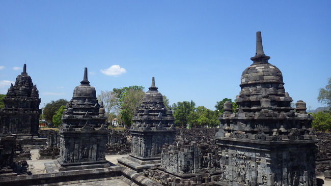 IMGP8003