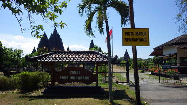 IMGP8028