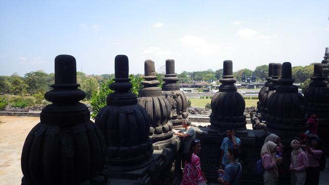 IMGP7954
