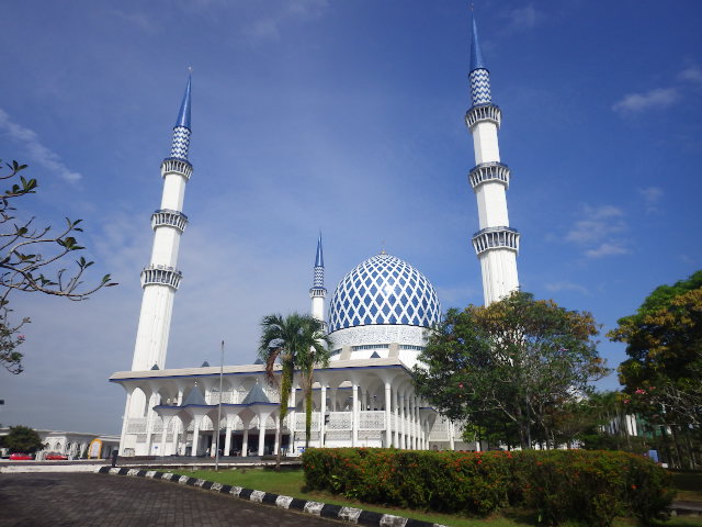 IMGP0236