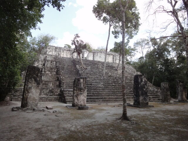 image-4