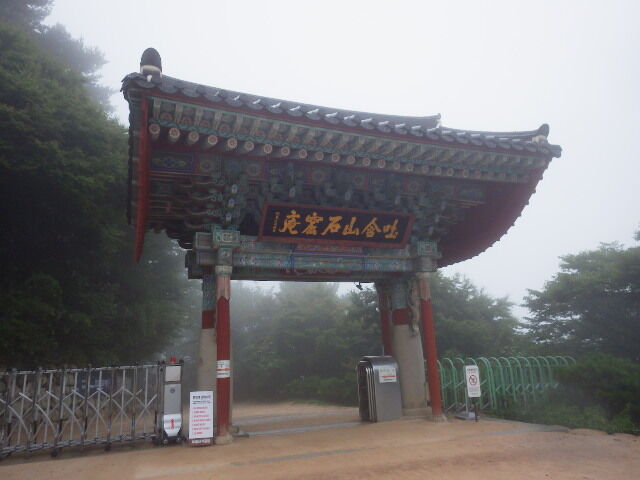 IMGP8645