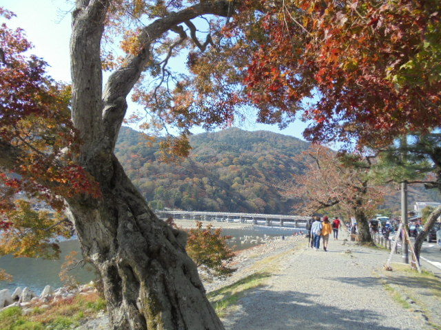 DSC02472