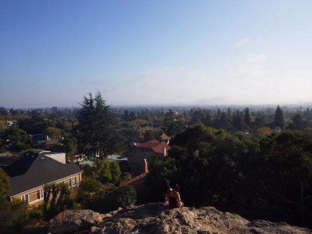 IMGP0202
